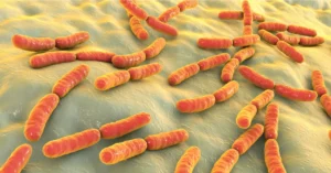 Healthy Gut