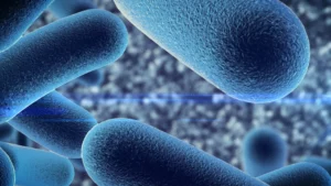 Microorganisms