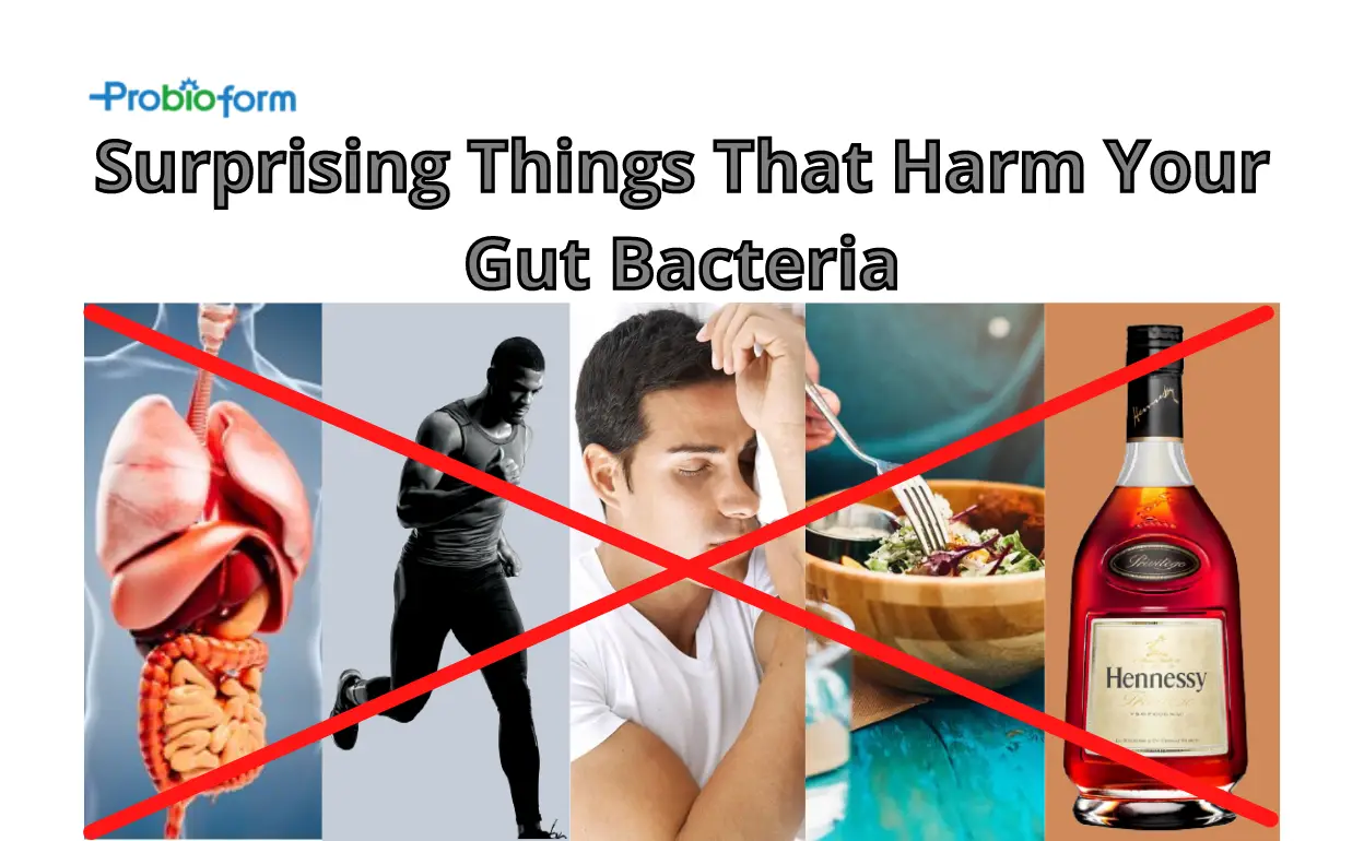 Things That Harm Your Gut Bacteria