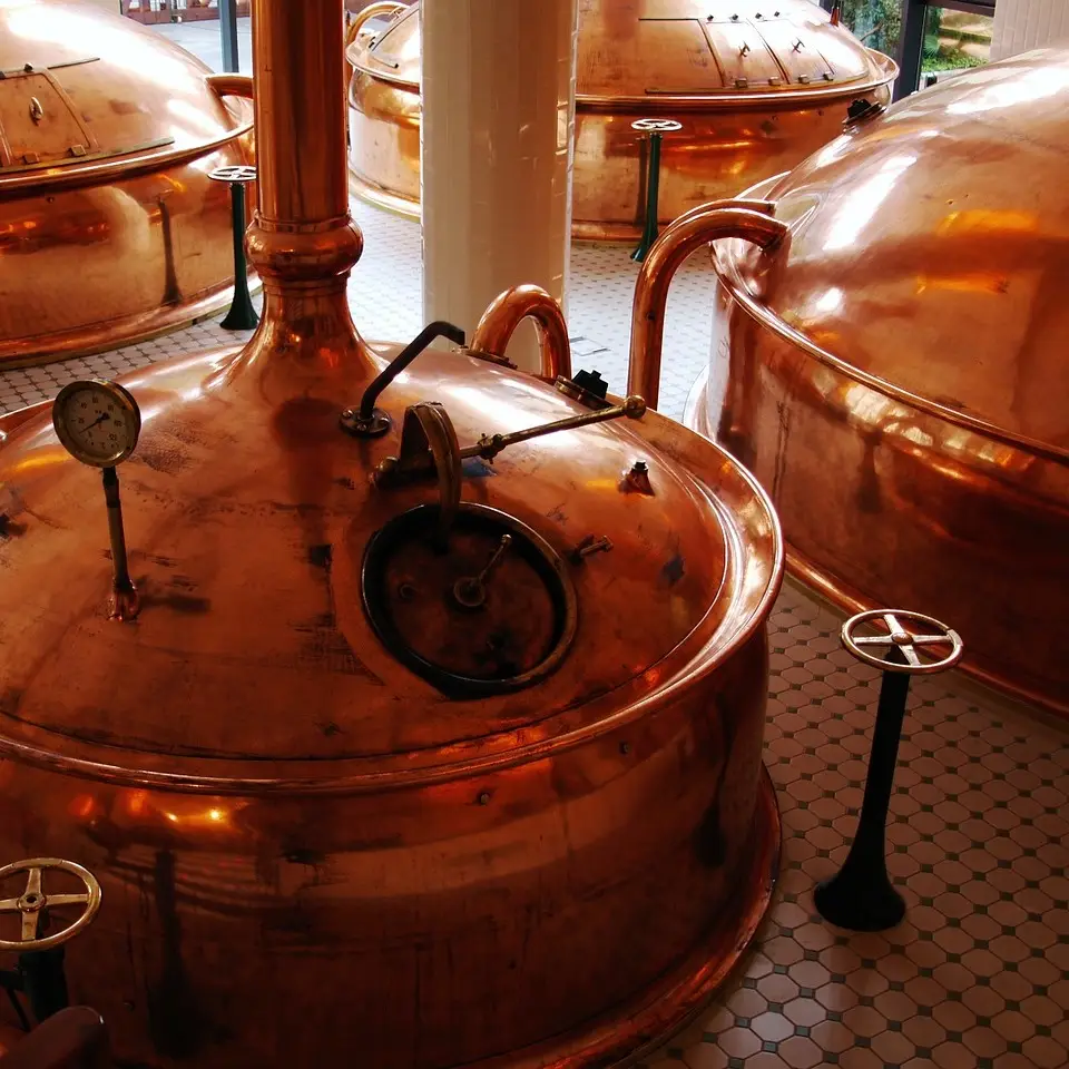 Fermentation